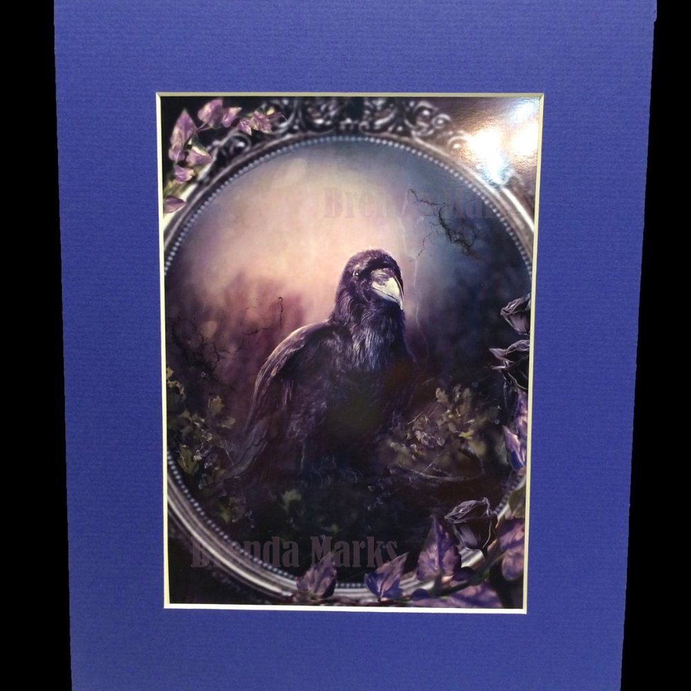 Raven Portrait 5x7 Metallic Image matted to fit 8x10 frame